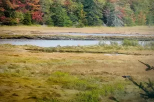 66 Salty Marsh Dr, Steuben, ME 04680 - Photo 6