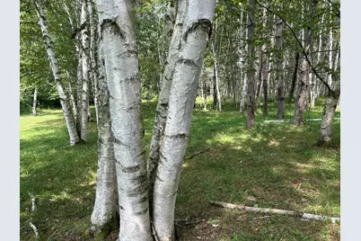 M12-Gl122- East Road, New Sweden, ME 04762 - Photo 2