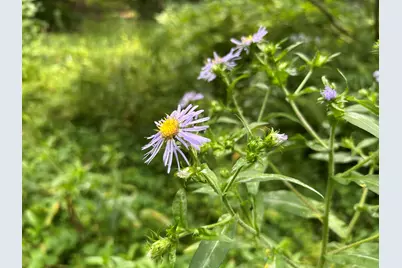 M12-Gl122- East Road, New Sweden, ME 04762 - Photo 10