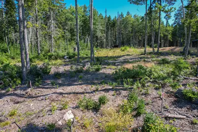 102 Estates Road Lot #3, Steuben, ME 04680 - Photo 10