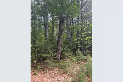 Lot 28 Troy Road, Burnham, ME 04922 - Photo 6