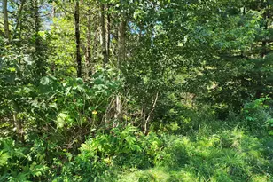 937 Athens Rd, Hartland, ME 04943 - Photo 22