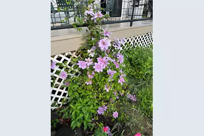 101 Main Street, Belgrade, ME 04917 - Photo 8