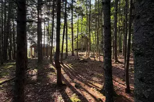 322 Lamb Rd, Roxbury, ME 04275 - Photo 14