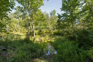 1167 Pequawket Trail, Standish, ME 04085 - Photo 46