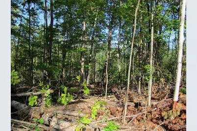 8 Norton Road, Dixfield, ME 04224 - Photo 26