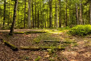 6 Rocky Point Rd, Lincolnville, ME 04849 - Photo 48