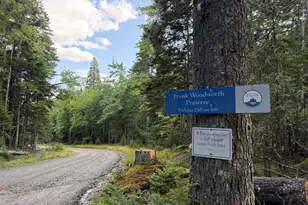 768 Ripley Neck Rd, Harrington, ME 04643 - Photo 16