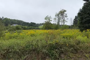 352 Ladner Rd, Easton, ME 04740 - Photo 10