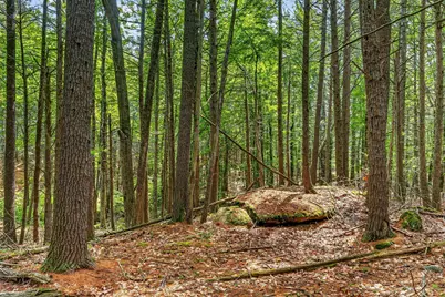 21 Marsh Brook Lane, York, ME 03902 - Photo 14