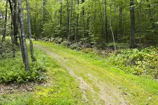 276 Johnson Hill Rd, Poland, ME 04274 - Photo 22