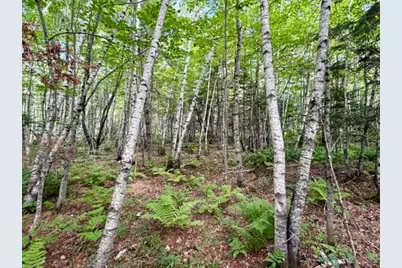 [Address not provided], Limington, ME 04961 - Photo 10