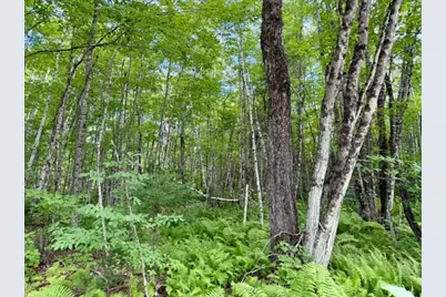 [Address not provided], Limington, ME 04961 - Photo 8