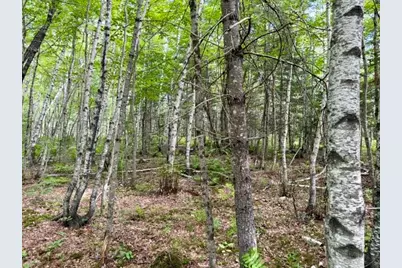 [Address not provided], Limington, ME 04961 - Photo 12
