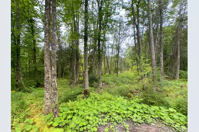 1879 Caribou Road, New Canada, ME 04743 - Photo 28