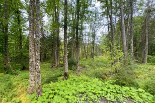 1879 Caribou Rd, New Canada, ME 04743 - Photo 28
