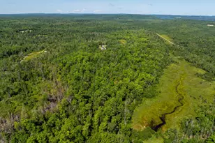 89 Upper Cross Rd, Pembroke, ME 04666 - Photo 16