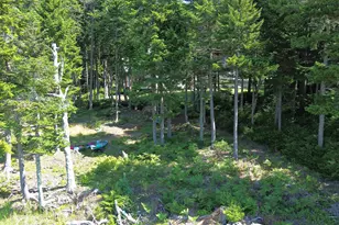 139 Missy Way, Steuben, ME 04680 - Photo 64