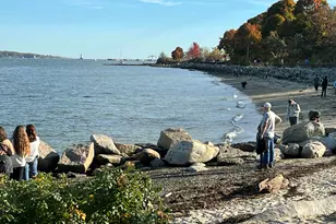 246 Eastern Promenade, Portland, ME 04101 - Photo 12