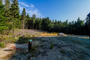 27 Alleys Bay Rd, Beals, ME 04611 - Photo 48