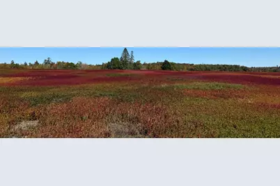 Map31Lot29 Land-Perkins, Blue Hill, ME 04614 - Photo 30