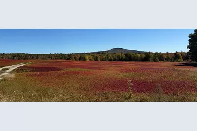 Map31Lot29 Land-Perkins, Blue Hill, ME 04614 - Photo 6