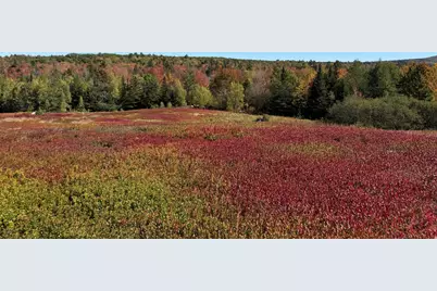 Map31Lot29 Land-Perkins, Blue Hill, ME 04614 - Photo 4