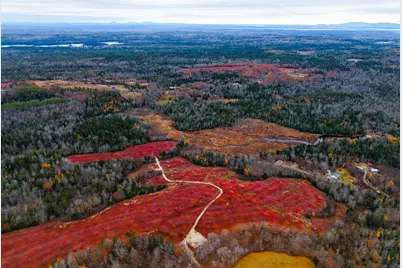 Map31Lot29 Land-Perkins, Blue Hill, ME 04614 - Photo 42