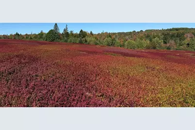 Map31Lot29 Land-Perkins, Blue Hill, ME 04614 - Photo 8