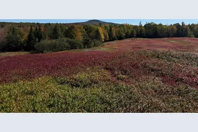 Map31Lot29 Land-Perkins, Blue Hill, ME 04614 - Photo 2