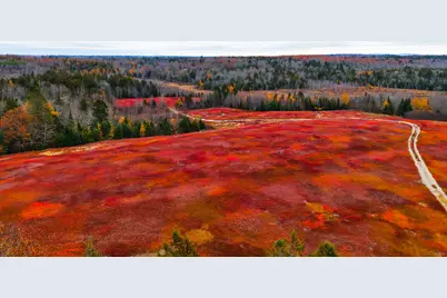 Map31Lot29 Land-Perkins, Blue Hill, ME 04614 - Photo 34