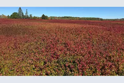 Map31Lot29 Land-Perkins, Blue Hill, ME 04614 - Photo 22