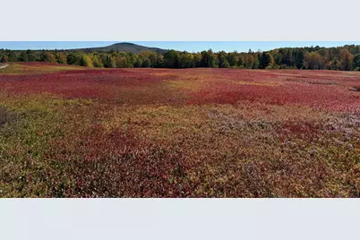Map31Lot29 Land-Perkins, Blue Hill, ME 04614 - Photo 20