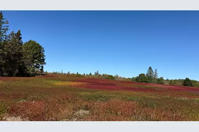 Map31Lot29 Land-Perkins, Blue Hill, ME 04614 - Photo 32