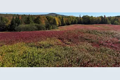 Map31Lot29 Land-Perkins, Blue Hill, ME 04614 - Photo 26