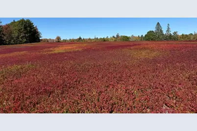 Map31Lot29 Land-Perkins, Blue Hill, ME 04614 - Photo 18