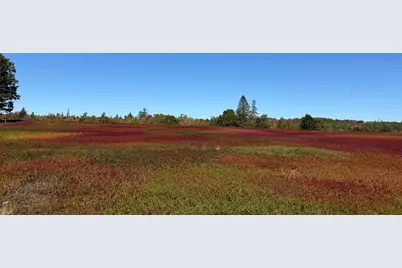 Map31Lot29 Land-Perkins, Blue Hill, ME 04614 - Photo 12