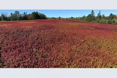 Map31Lot29 Land-Perkins, Blue Hill, ME 04614 - Photo 10