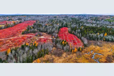 Map31Lot29 Land-Perkins, Blue Hill, ME 04614 - Photo 44