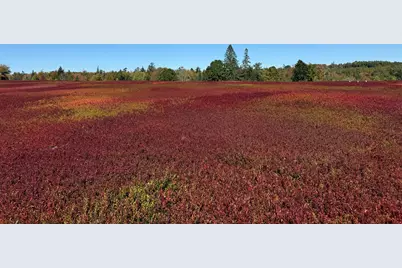 Map31Lot29 Land-Perkins, Blue Hill, ME 04614 - Photo 14