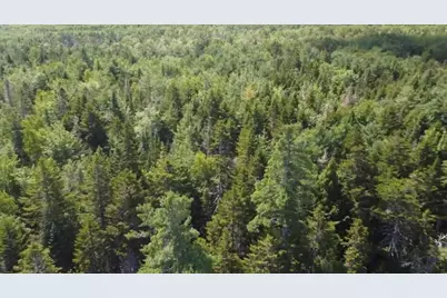 Lot 6 Goulding Lake Road, Robbinston, ME 04671 - Photo 20