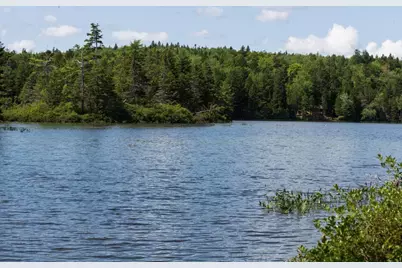 Lot 6 Goulding Lake Road, Robbinston, ME 04671 - Photo 4
