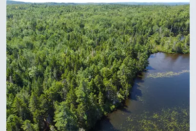 Lot 6 Goulding Lake Road, Robbinston, ME 04671 - Photo 10