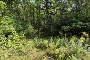Tbd Stoneybrook Dr, Oakland, ME 04963 - Photo 1