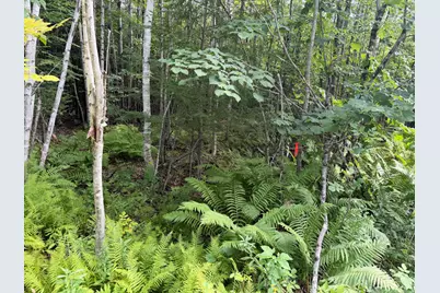 Tbd Stoneybrook Drive #Lot 2, Oakland, ME 04963 - Photo 4