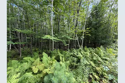 Tbd Stoneybrook Drive #Lot 2, Oakland, ME 04963 - Photo 6
