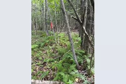 Tbd Stoneybrook Drive #Lot 2, Oakland, ME 04963 - Photo 2