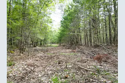 Lot 3 Off Mattamiscontis Road, Howland, ME 04448 - Photo 8