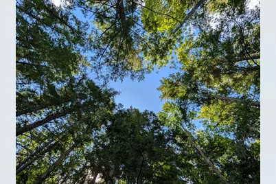 Lot 6A Lake Road, Wilton, ME 04294 - Photo 48