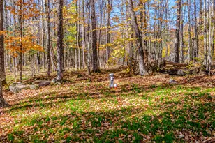 27 Sumner Rd, West Paris, ME 04289 - Photo 52